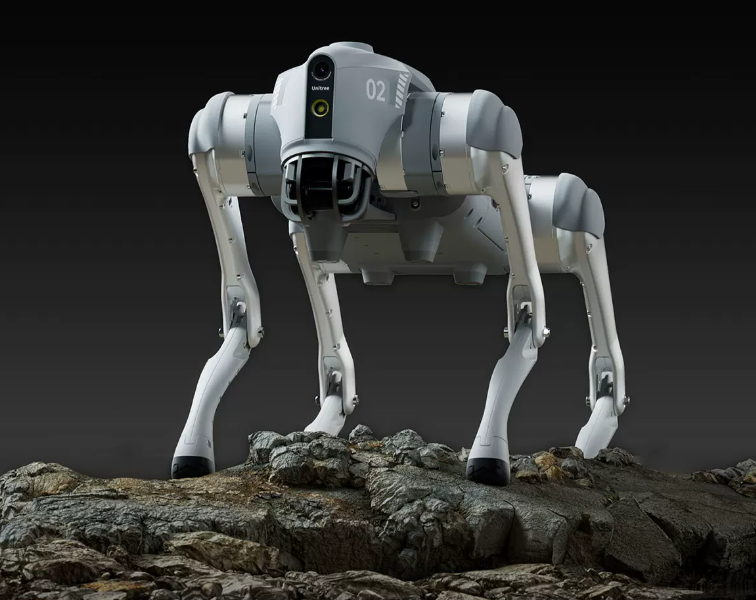 Quadruped Robot