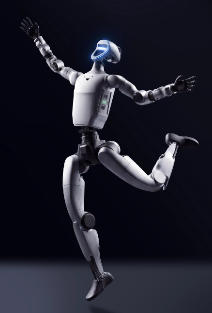 Humanoid Robot